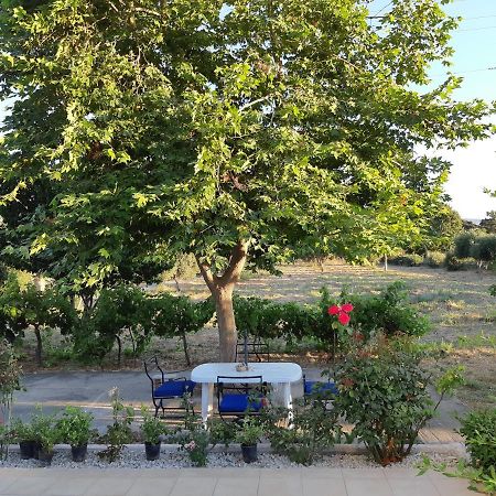 Swan House Panoramic View - Near The Sea Villa Zipárion Kültér fotó