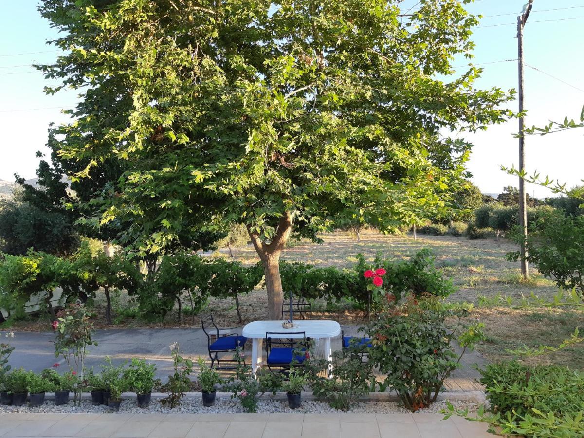Swan House Panoramic View - Near The Sea Villa Zipárion Kültér fotó