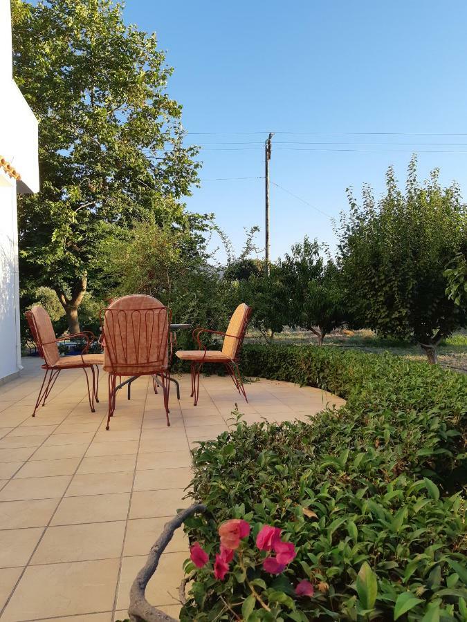 Swan House Panoramic View - Near The Sea Villa Zipárion Kültér fotó
